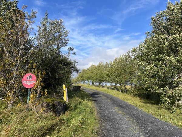 Slökum aðeins á dagur